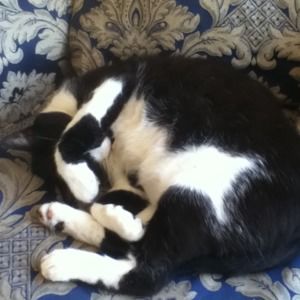 Meet your Posher, Catherine